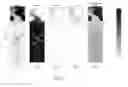 Fig. 08 - Methods of evaluating cement isolations and quality
