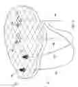 Fig. 04 - Surface coil for wellbore positioning