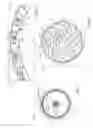Fig. 07 - Rotary manifold for a cohesion-type drive