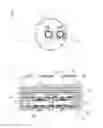 Fig. 02 - Diaphragm pump