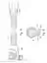 Fig. 25 - Cuff for air delivery conduit