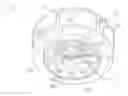 Fig. 01 - IMPELLER FOR A FLUID PUMP