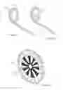 Fig. 06 - Spine or wheel of interconnected units