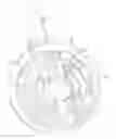 Fig. 01 - Rolling bearing