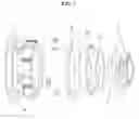 Fig. 04 - Clutch structure
