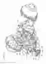 Fig. 11 - TRANSMISSION
