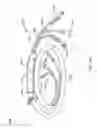 Fig. 15 - Swivel coupling and hose assemblies and kits utilizing the same