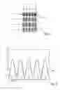 Fig. 03 - Illumination device comprising semiconductor primary light sources and at least one luminophore element