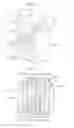 Fig. 09 - Light source unit and vehicle front lamp using the light source unit