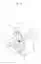 Fig. 11 - Light source unit and vehicle front lamp using the light source unit