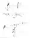 Fig. 04 - Headlight for vehicles