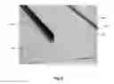 Fig. 06 - Hidden lighting under a shelf