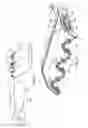 Fig. 02 - Nested article by additive manufacturing with non-removable internal supporting structure
