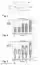 Fig. 02 - Movable cooking appliance