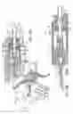 Fig. 09 - Projectile launching system