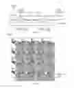 Fig. 04 - Polarization selective, frequency selective, and wide dynamic range detectors, imaging arrays, readout integrated circuits, and sensor systems