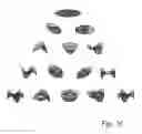 Fig. 05 - Holographic wavefront sensing