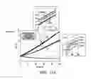 Fig. 12 - Artificial skin and elastic strain sensor