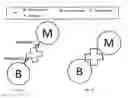 Fig. 02 - Multi-mode separation for target detection and cell growth monitoring