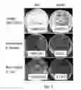 Fig. 08 - Multi-mode separation for target detection and cell growth monitoring