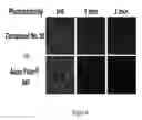 Fig. 07 - Fluorescent dyes, fluorescent dye kits, and methods of preparing labeled molecules