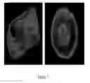 Fig. 08 - Fluorescent dyes, fluorescent dye kits, and methods of preparing labeled molecules