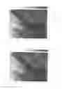 Fig. 05 - Typing and imaging of biological and non-biological materials using quantitative ultrasound
