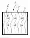 Fig. 01 - Lateral flow membrane designed for multiparameter readouts and compact multiparameter lateral flow immunoassay device comprising the same