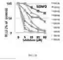 Fig. 04 - Methods of identifying SENP1 inhibitors