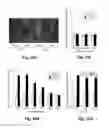 Fig. 09 - Aptasensor for detecting female-specific trace of blood and detection apparatus using the same