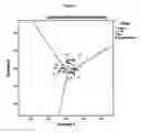 Fig. 07 - Medical imaging