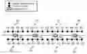 Fig. 01 - DISTRIBUTED MULTI-SENSOR STREAMER