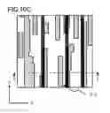 Fig. 11 - Color developing structure and method of producing the same