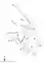 Fig. 06 - Mounting system for telecommunications distribution elements