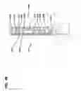 Fig. 50 - Mounting system for telecommunications distribution elements
