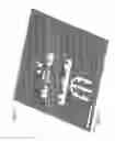 Fig. 12 - Device for imaging a sample surface