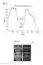 Fig. 07 - PRE-CAPTURE DE-IDENTIFICATION (PCDI) IMAGING SYSTEM AND PCDI OPTICS ASSEMBLY