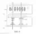 Fig. 07 - Transparent display device