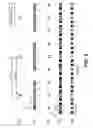 Fig. 04 - Ebeam three beam aperture array