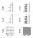 Fig. 03 - Pattern forming method for forming a pattern