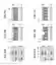 Fig. 10 - Pattern forming method for forming a pattern