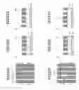 Fig. 13 - Pattern forming method for forming a pattern