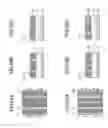 Fig. 32 - Pattern forming method for forming a pattern