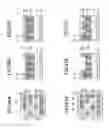 Fig. 34 - Pattern forming method for forming a pattern