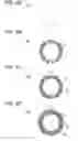 Fig. 04 - Electrophotographic photoreceptor