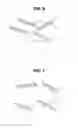 Fig. 06 - TONER, DEVELOPER CONTAINER, IMAGE FORMING UNIT, AND IMAGE FORMING APPARATUS