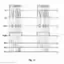 Fig. 12 - Apparatus and method for robust eye/gaze tracking