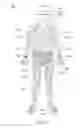 Fig. 08 - Body posture detection system, suit and method
