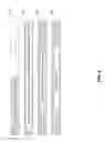 Fig. 07 - LOAD BALANCING BY ENDPOINTS