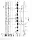 Fig. 02 - Uninterrupted read of consecutive pages for memory